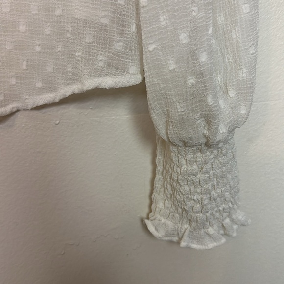 Zara Sheer Swissdot Ruffle V-Neck Crochet Trim Button Up Balloon Sleeve Blouse - Picture 13 of 16